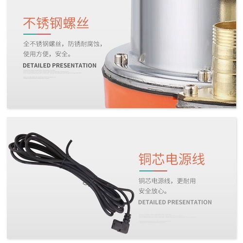 12v伏電瓶直流潛水泵24v48v60v72v電動車小抽水機農用灌溉高揚程