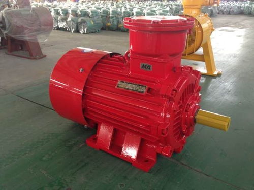 防爆電機(jī)的定義和特點(diǎn)是什么