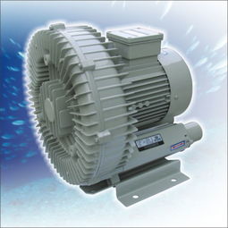 陸揚鼓風(fēng)機維修與昆山電機維修廠的直流電機維修服務(wù)